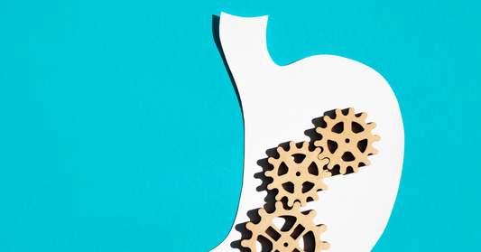 From Bloated to Balanced: What Science Really Says About Beating the Bloat