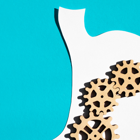 From Bloated to Balanced: What Science Really Says About Beating the Bloat