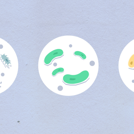 How are your Butyrate levels? And Why They Matter For Your Reproductive Health!