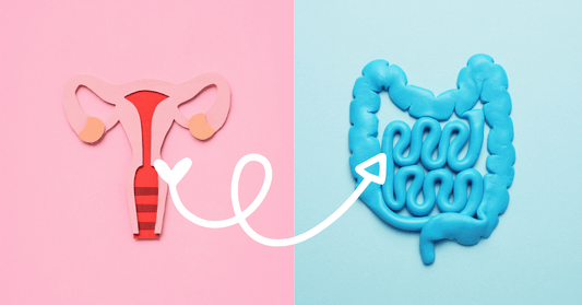 Your Gut-Vaginal Microbiota Connection