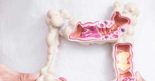 Five Facts About Your Fertile Friends