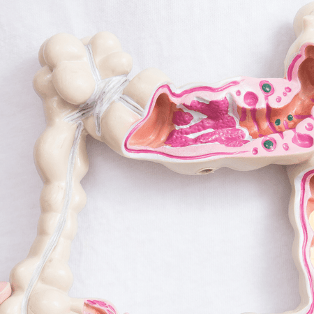 Five Facts About Your Fertile Friends
