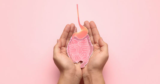 The Gut-Fertility Connection: Expert Insights on How to Eat for Successful Conception