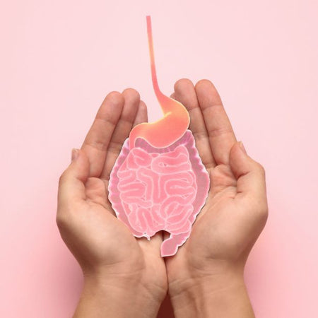 The Gut-Fertility Connection: Expert Insights on How to Eat for Successful Conception