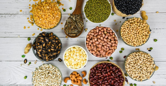 The MOST important Macronutrient for our Microbiome