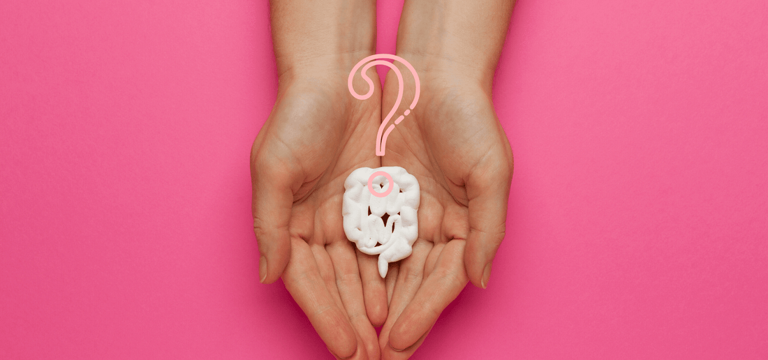 Where is My Period!? The Gut-Ovulation Connection.