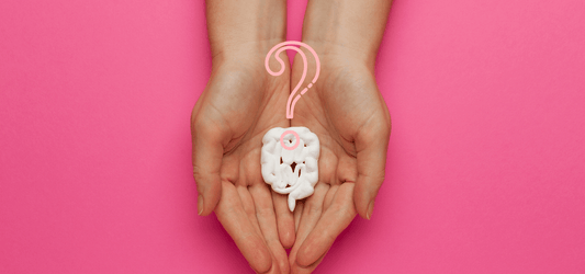 Where is My Period!? The Gut-Ovulation Connection.