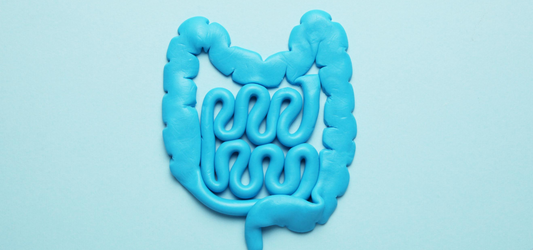 The Gut-Hormone Connection: Back in Balance