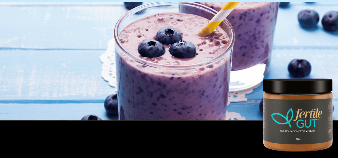 Optimising Your Gut Health for Pregnancy Success!