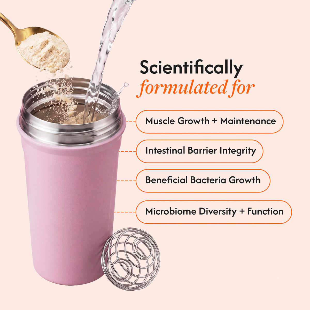 A pink insulated travel tumbler with a stainless steel lid and metal mixing ball, shown with water being poured into it and a spoon of powder above. Text on a pale pink background says the product is scientifically formulated for muscle growth, intestinal barrier integrity, beneficial bacteria growth, and microbiome diversity.