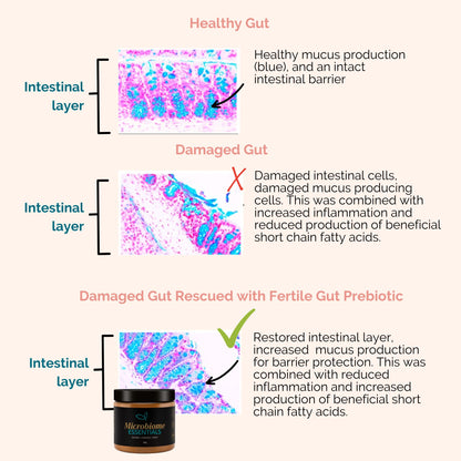 Microbiome Essentials